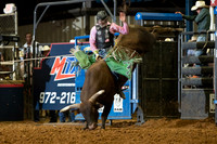 2020_06_06_Mesquite_BullRiding_Jeff Askey_372_Silva