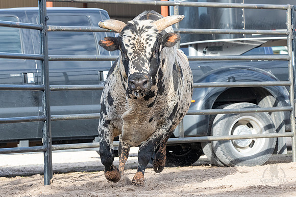 Leme_Ranch_02_25_2020_027