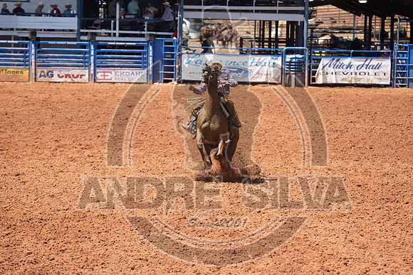 2024_July_06_Ranch_Horse_Competition_4024