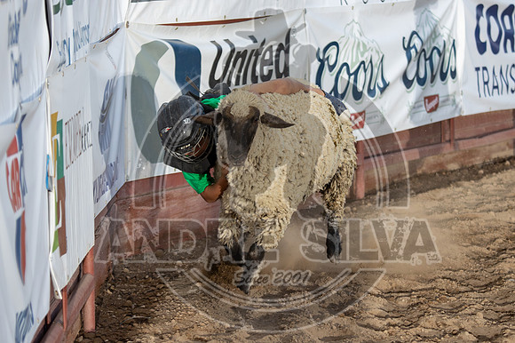 24_July_25_Eagle_CO_143