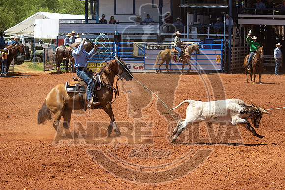 2024_July_02_Team_Roping_295