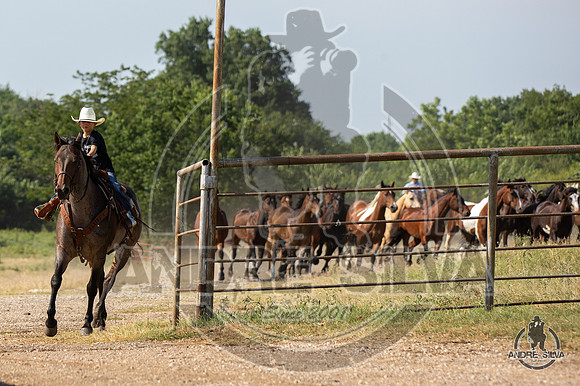 06_14_19_Cleburne__233_Silva