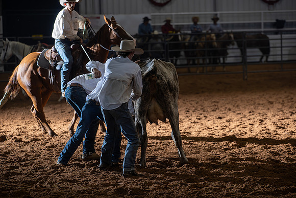 2024_Nov_02_Quin_McCoy_069