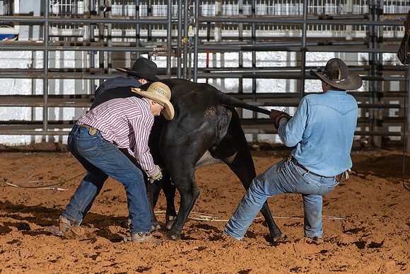 2024_Nov_02_Quin_McCoy_093