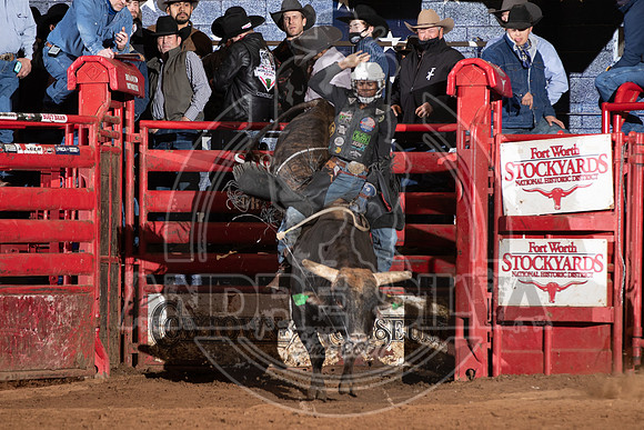2021_Jan_01_ABBI_306