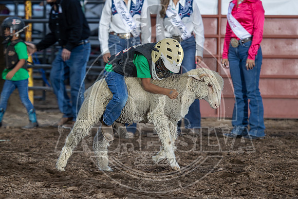 24_July_25_Eagle_CO_146