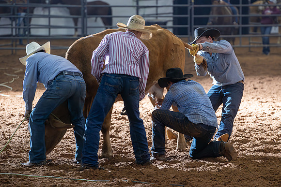 2024_Nov_02_Quin_McCoy_077