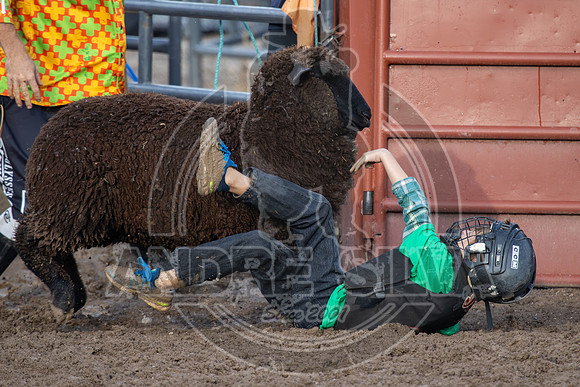 2024 Eagle_Mutton Busting_1592-AndreSilva