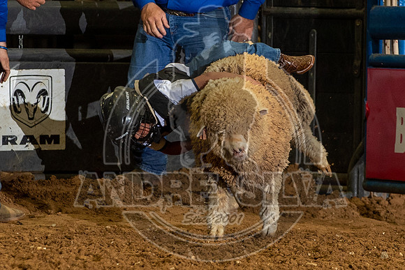 2021Mesquite_R01__337