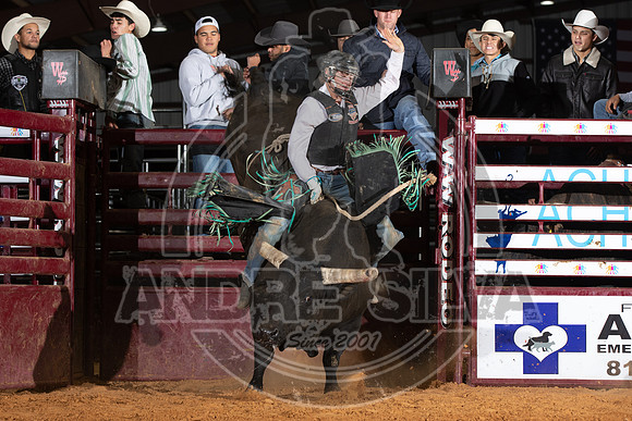 2021_Nov_13_Wall_Street_Ranch_074