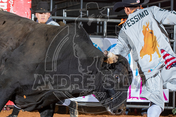 2021_Nov_13_Wall_Street_Ranch_117