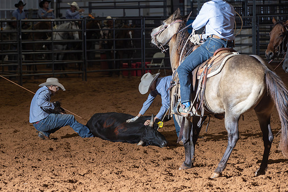 2024_Nov_02_Quin_McCoy_171