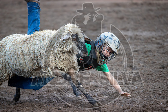 2024 Eagle_Mutton Busting_1622-AndreSilva