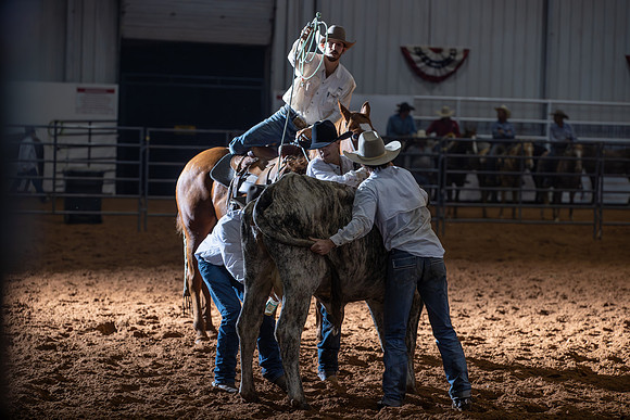 2024_Nov_02_Quin_McCoy_068