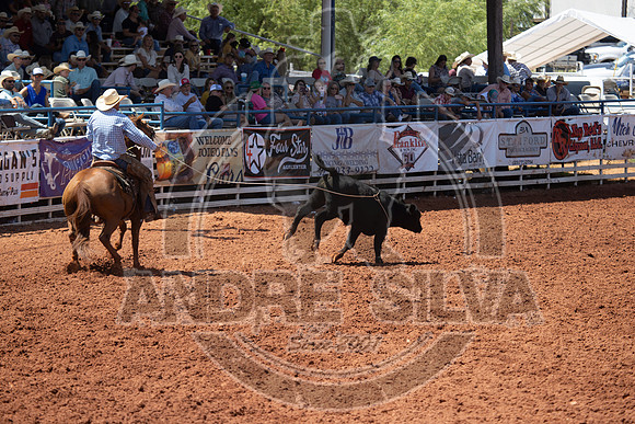 2024_July_06_Ranch_Horse_Competition_4004