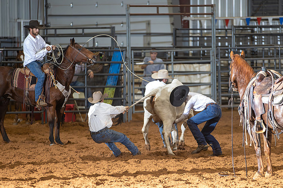 2024_Nov_02_Quin_McCoy_104