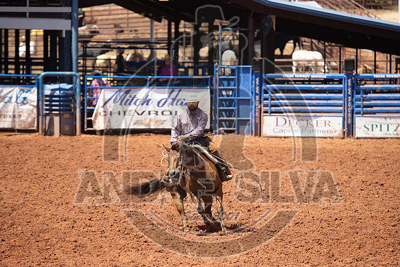 2024_July_06_Ranch_Horse_Competition_4007