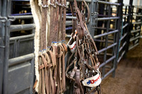 06_08_19_Mesquite_003_Silva