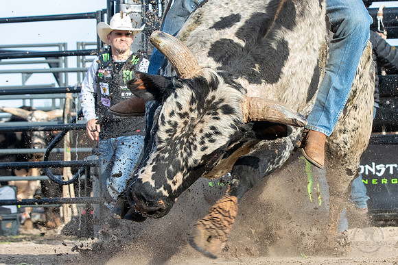 Leme_Ranch_02_25_2020_026