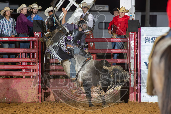 2024 Cowtown Rodeo_BR__588-AndreSilva