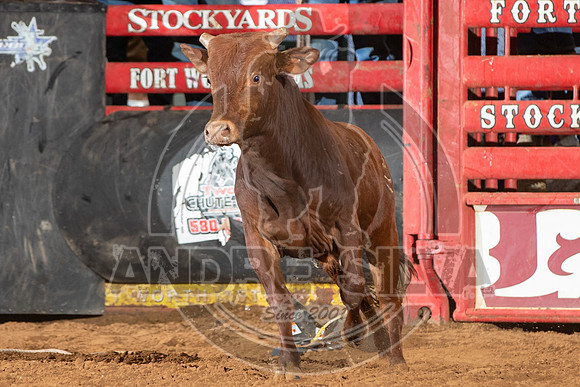 2021_Jan_02_ABBI_426