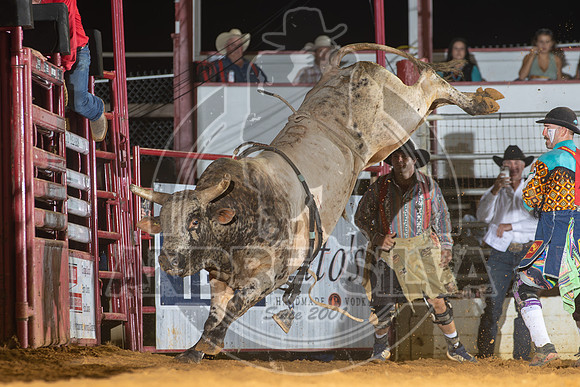 2024 Cowtown Rodeo_R1_XTREME BULLS_Wacey Schalla_Big Tasty_89_AndreSilva_323