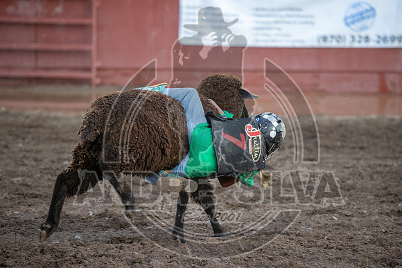 2024 Eagle_Mutton Busting_1629-AndreSilva