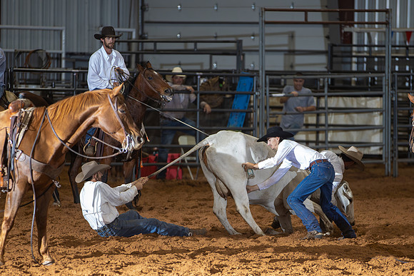 2024_Nov_02_Quin_McCoy_106