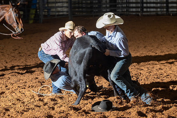 2024_Nov_02_Quin_McCoy_153