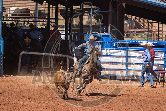 2024_July_02_Team_Roping_209