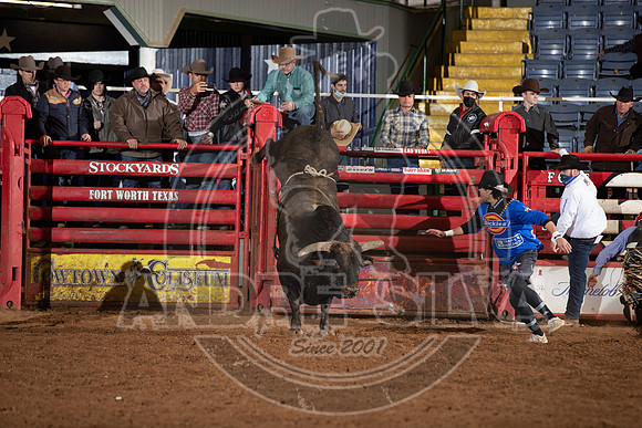 2021_Jan_01_ABBI_270