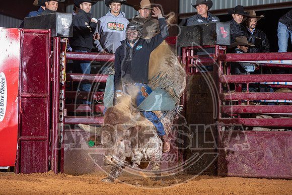 2021_Nov_13_Wall_Street_Ranch_082