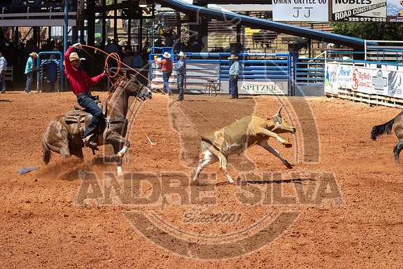 2024_July_02_Team_Roping_302