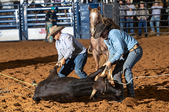 2024_Nov_02_Quin_McCoy_150