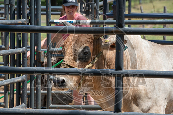 2020_Aug_29_ABBI_005