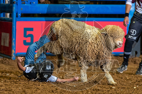 2021Mesquite_R01__338